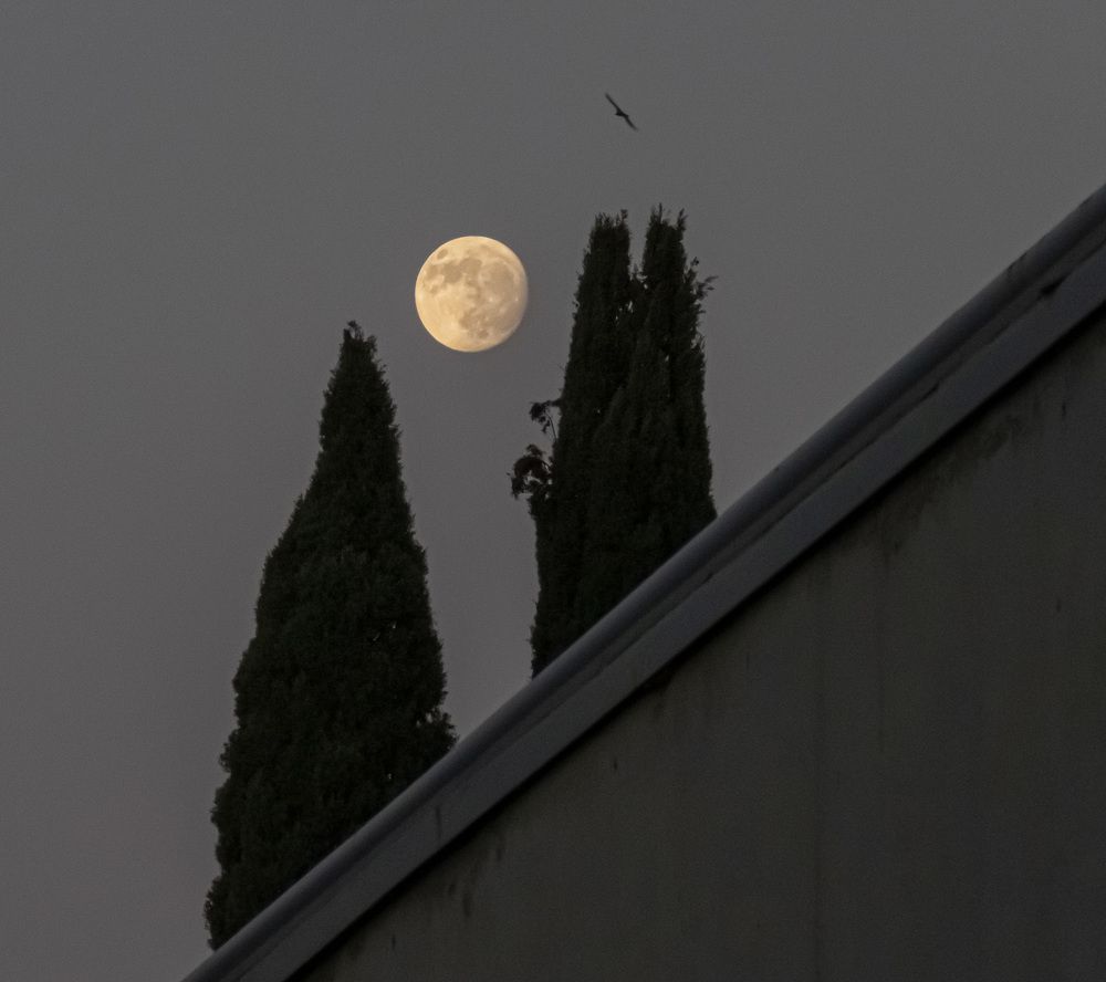 Photograph by sadegh alavi