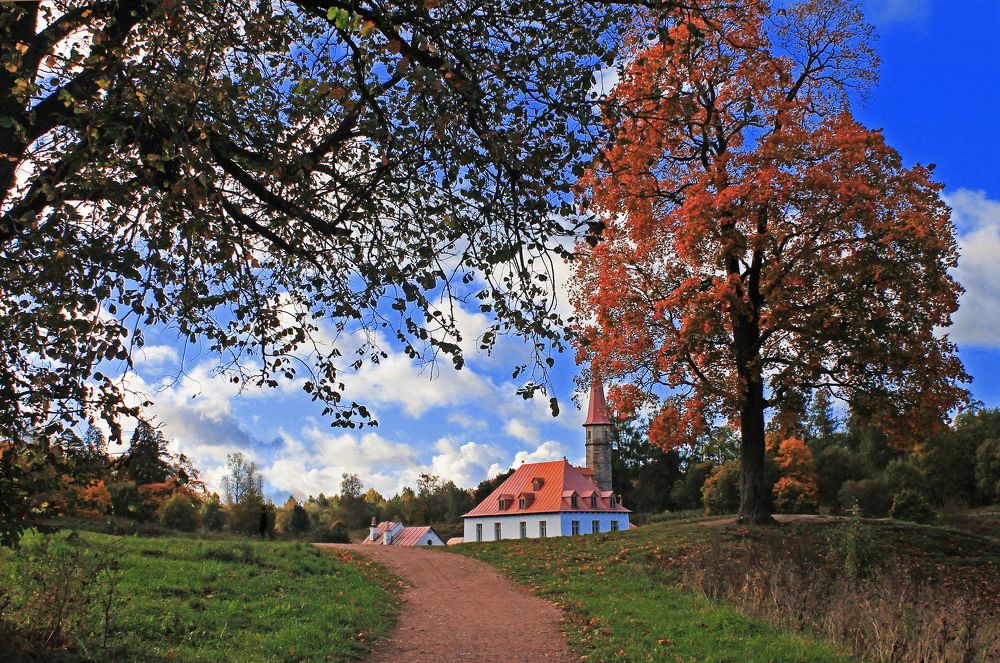 Photograph by Алла Бойко