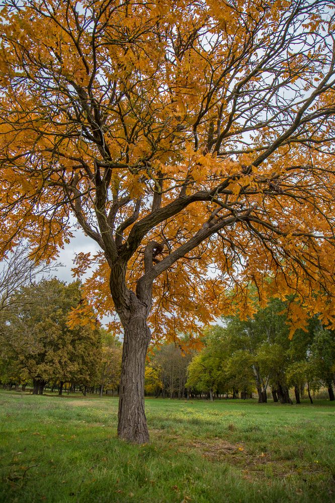 Photograph by Олег Ибрагимов