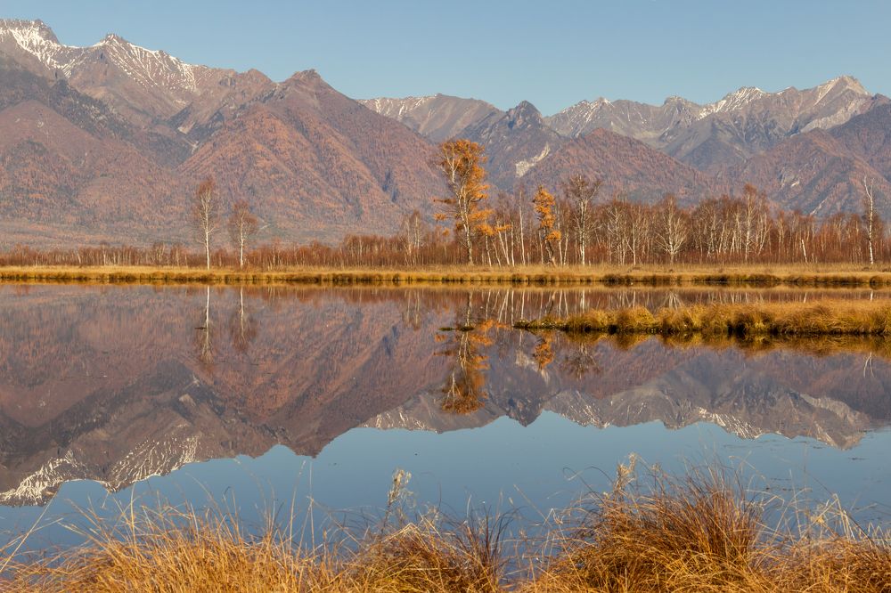 Зеркало осени