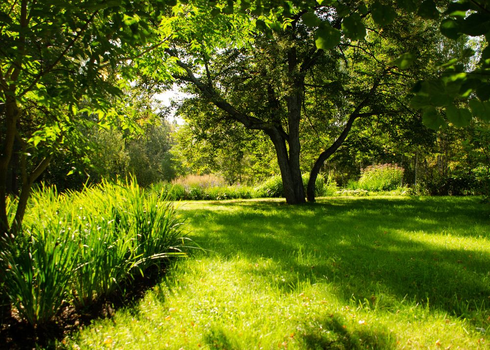 Photograph by Татьяна Валерьевна