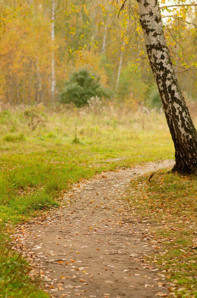 Photograph by Татьяна Валерьевна