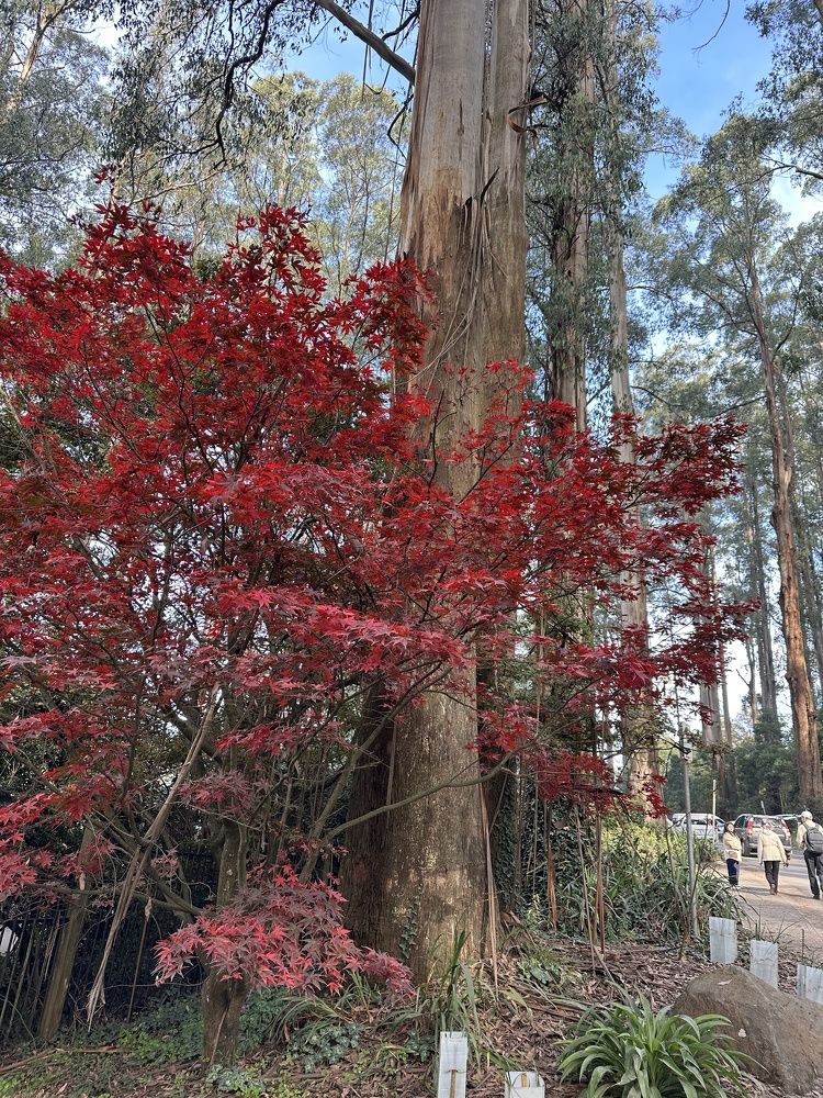 Photograph by marzieh Parvaneh