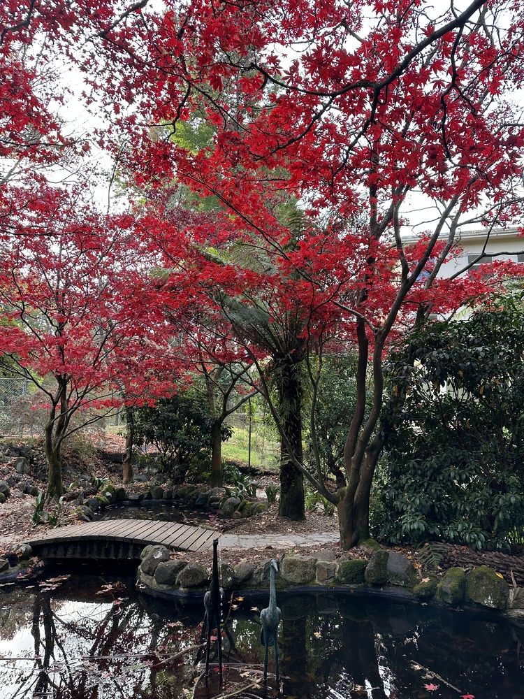 Photograph by marzieh Parvaneh