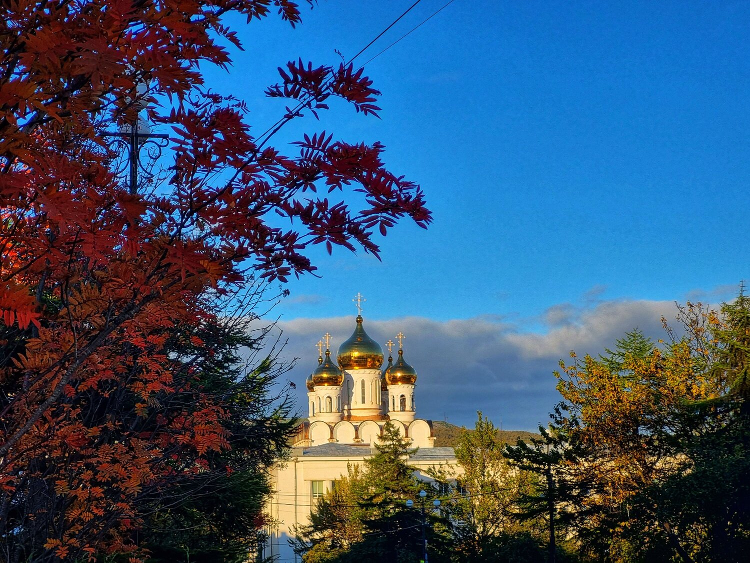 Photo #11066187