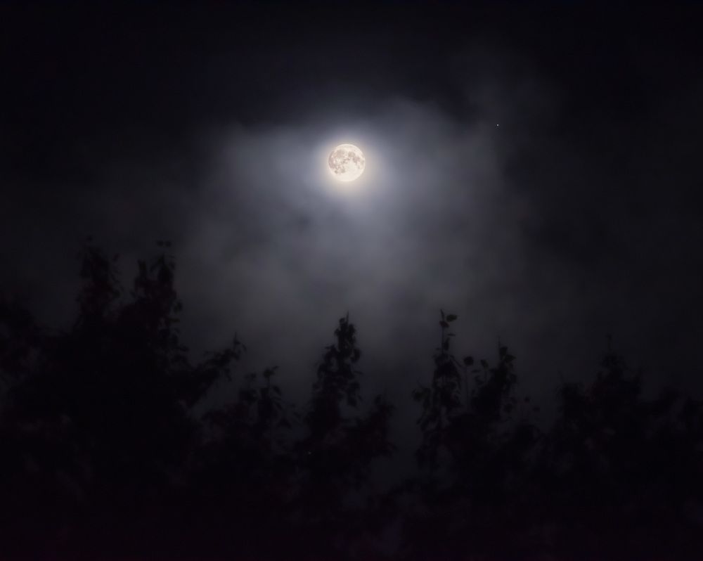 Россия, г. Барнаул