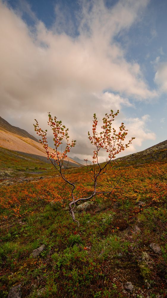 Photograph by Роман