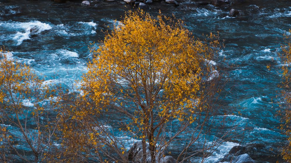 Photograph by Kuntal Singhvi