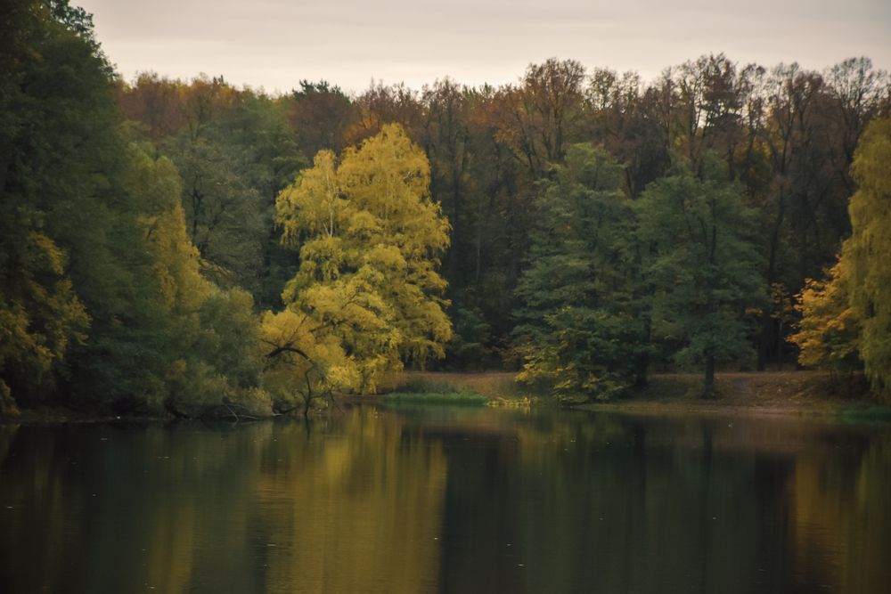 Photograph by Даников Анастасия