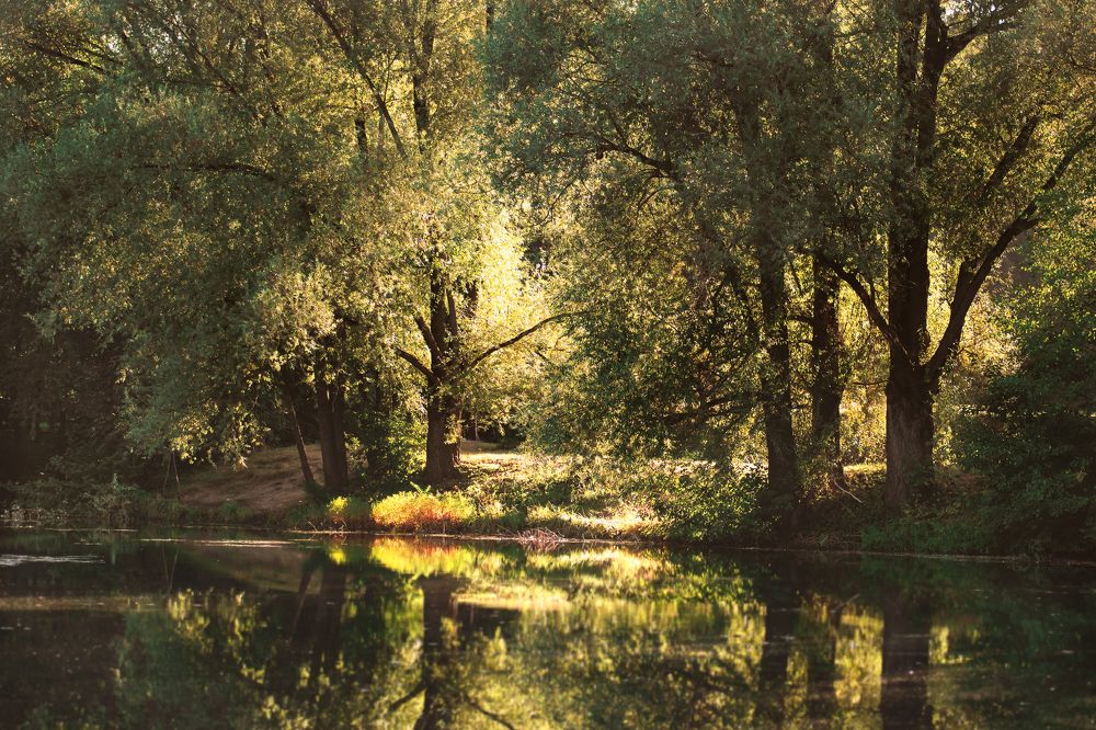 Photograph by Даников Анастасия