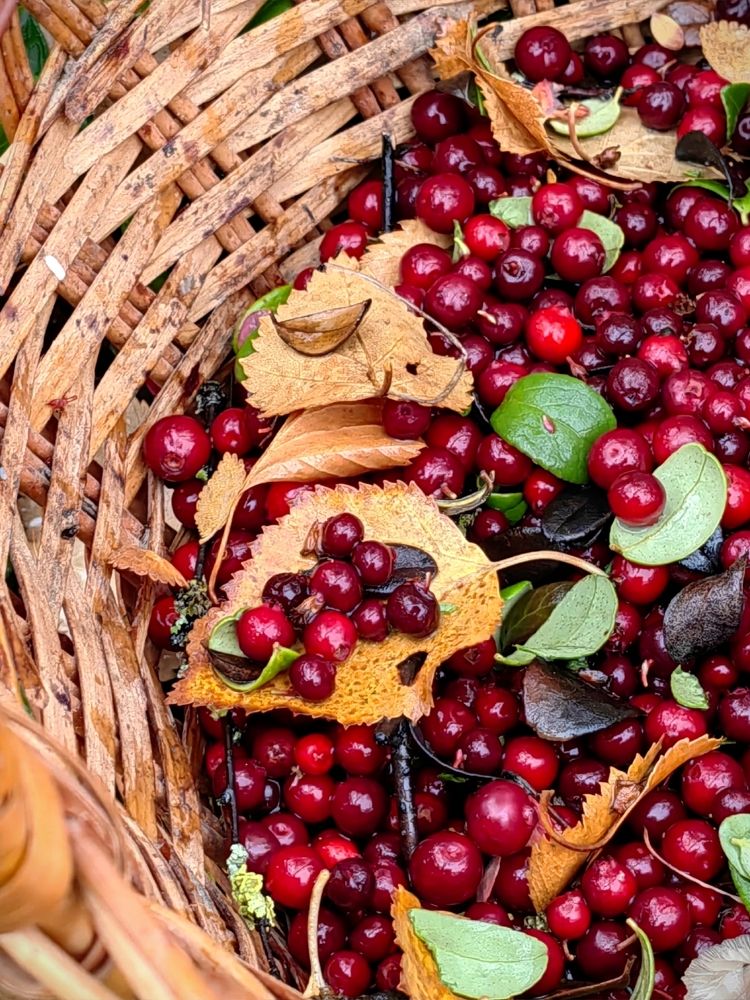 Photograph by Юлия Арестова