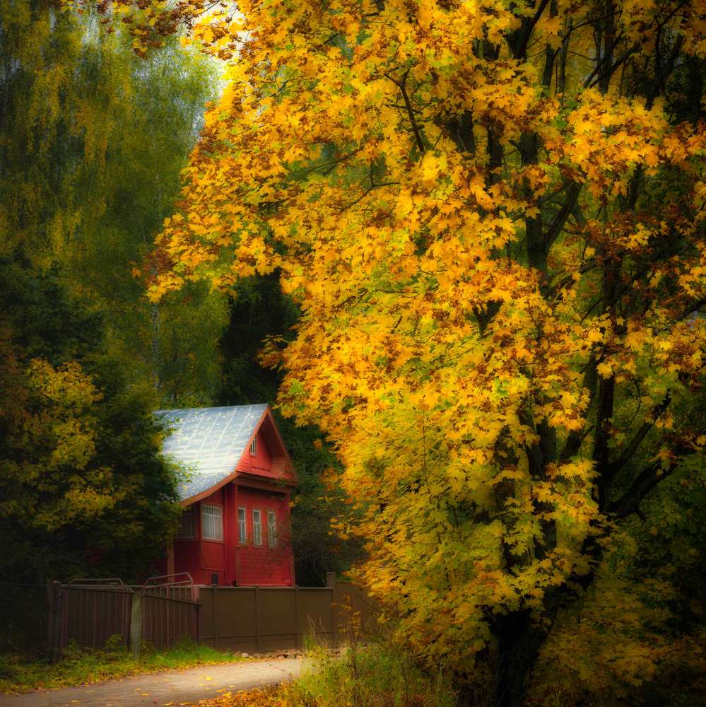 Photograph by Борис Дацковский