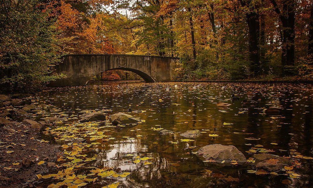Фотография автора Александр