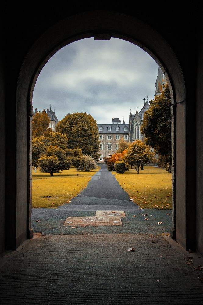 Photograph by Вероника Вербицкая