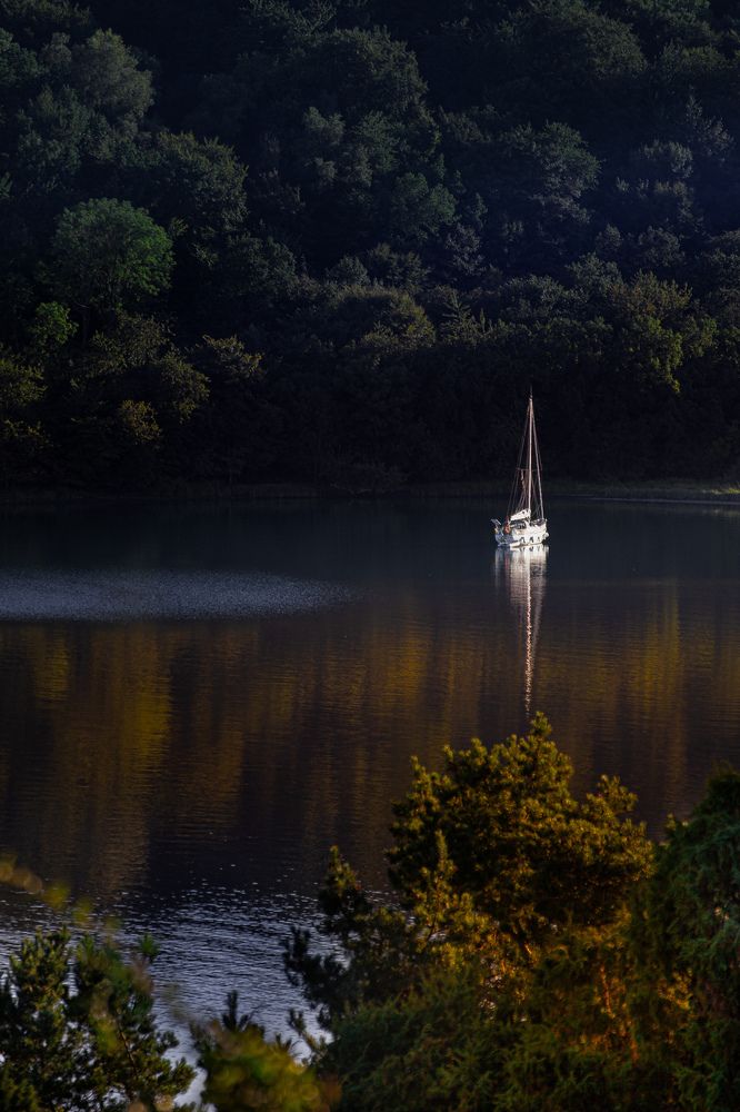 Фотография автора Alyona Madsen