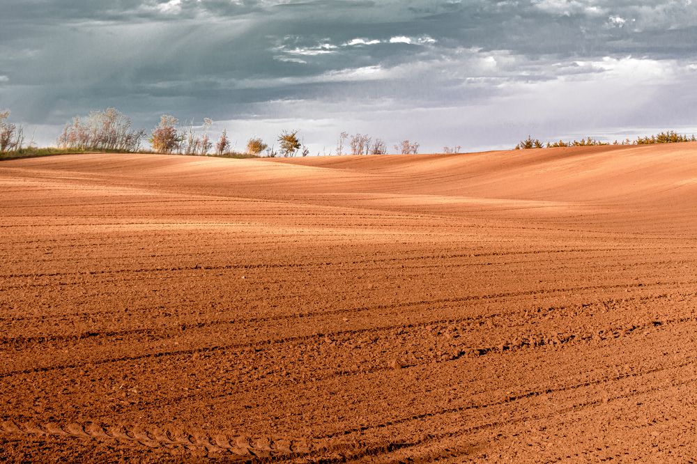 Фотография автора Alyona Madsen