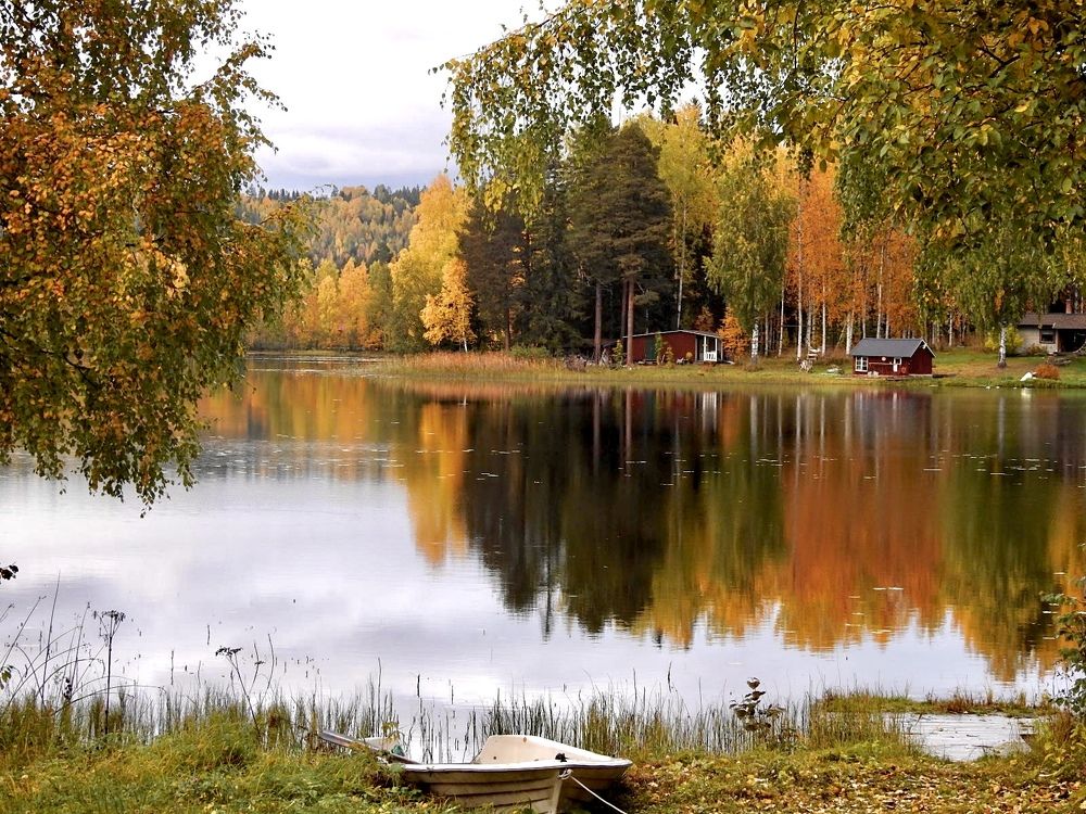 Фотография автора Alyona Madsen