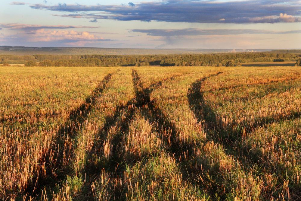 Photograph by Иван Овчинников