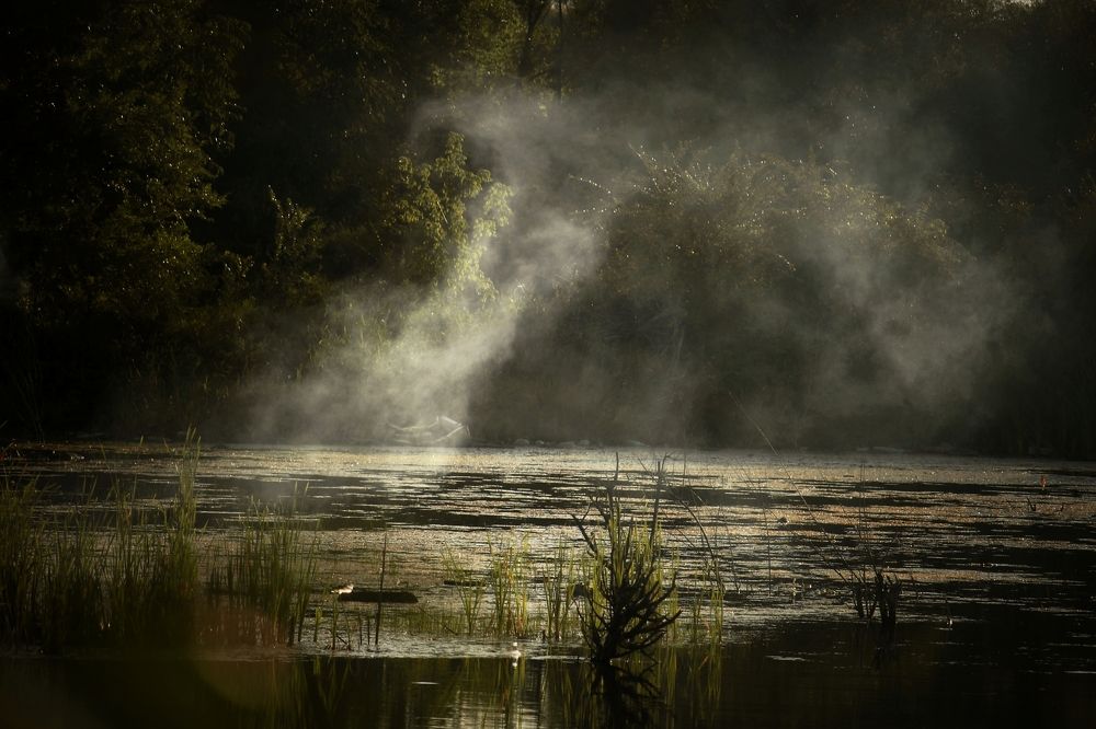 Photograph by Светлана Дорофеева