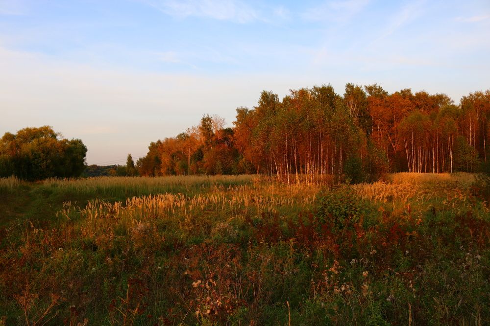 Photograph by Светлана Шуткова
