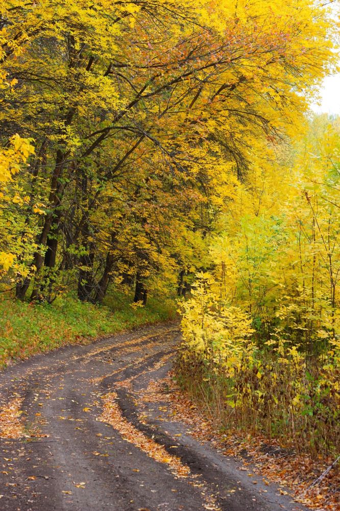 Photograph by Мария Мельникова