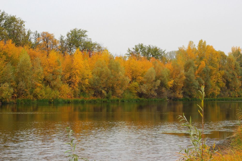 Photograph by Мария Мельникова