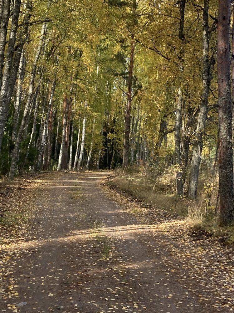 Photograph by Аркадий Каллистов