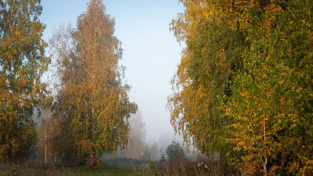 Photograph by Вадим Басов