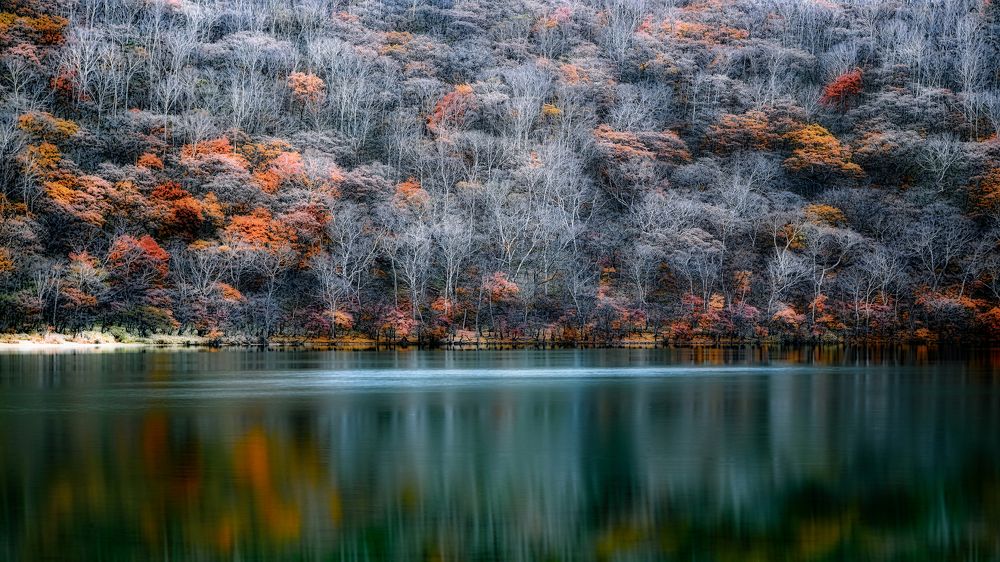 Photograph by Daiyu Moko