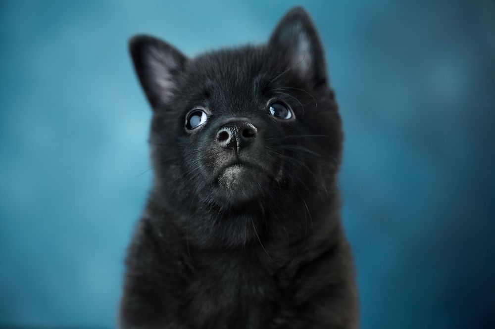 Photograph by Ксения Щербань