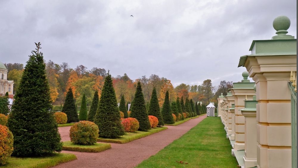 Краски осени.