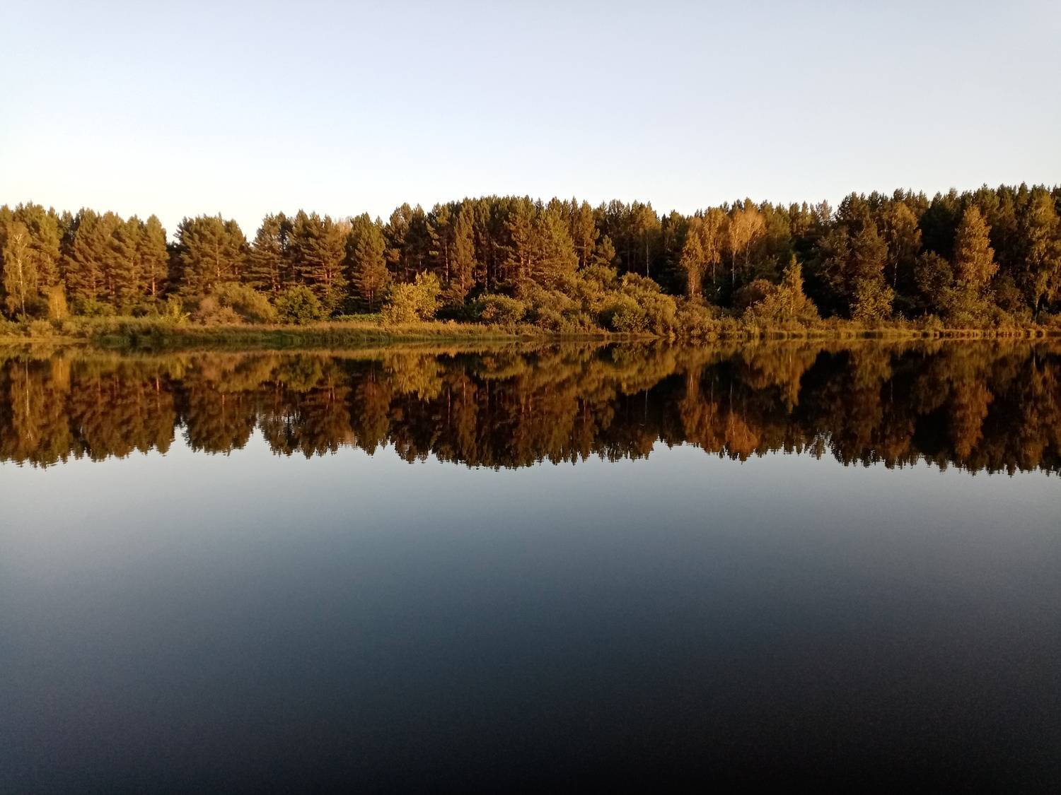 Photo #11066518