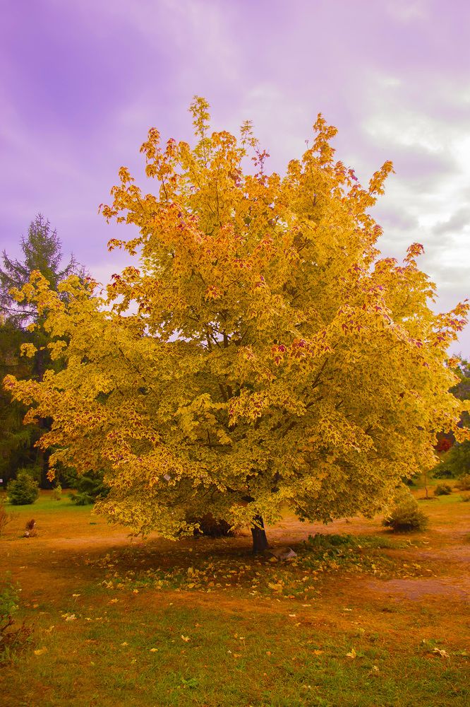 Photograph by Бурикова Екатерина