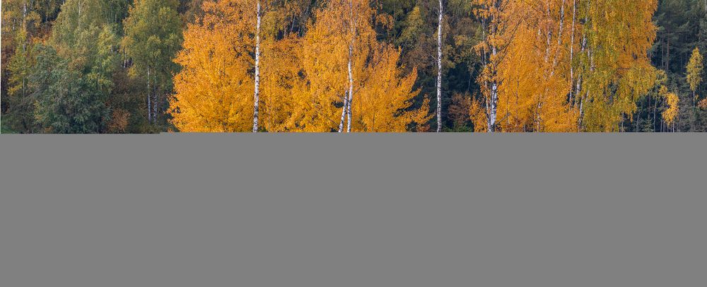 Photograph by Криволуцкий Вячеслав