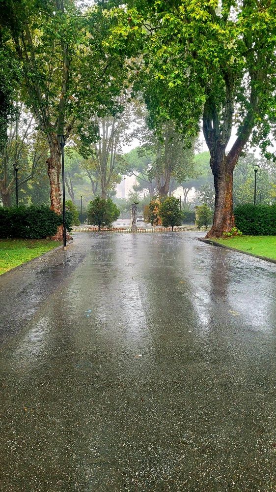 Photograph by claudia