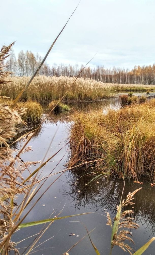 Photograph by Анна Андреевна