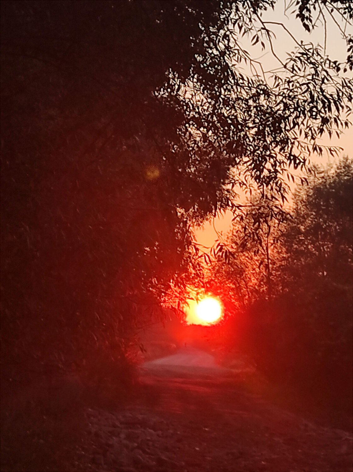Photo #11066571