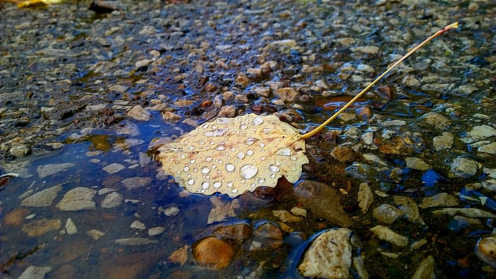 Photograph by Igor Shulkin