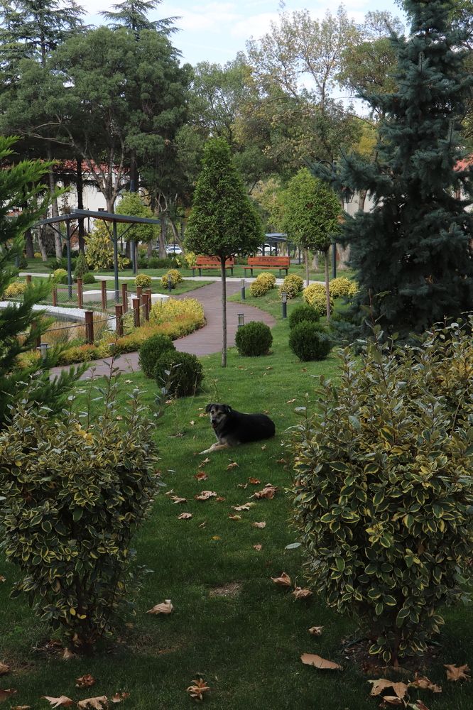 Photograph by Buket Demirel