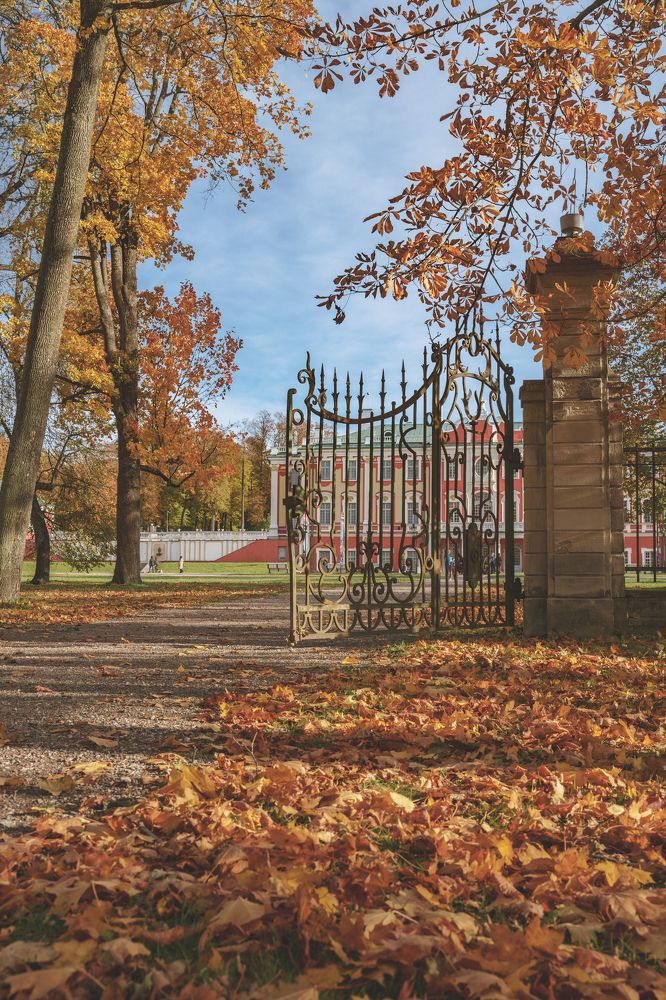 Photograph by Nikolay Surovtsev