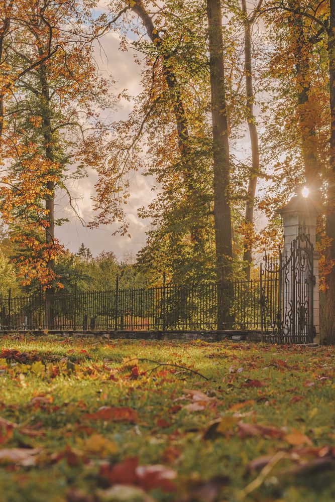 Photograph by Nikolay Surovtsev