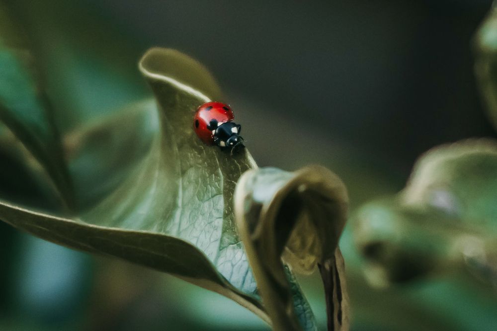 Photograph by Aga Kucinska