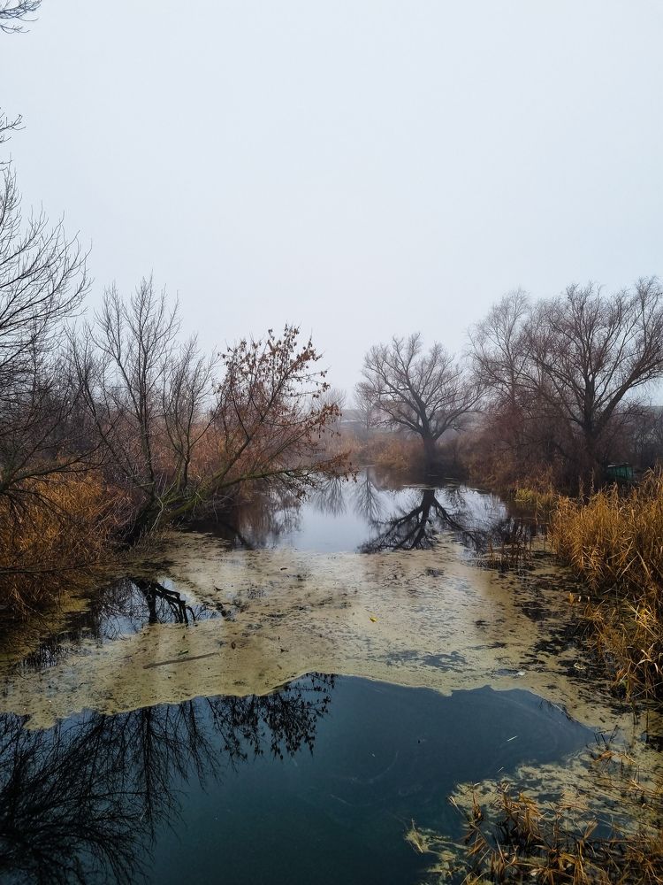 Photograph by Ирина Герлин