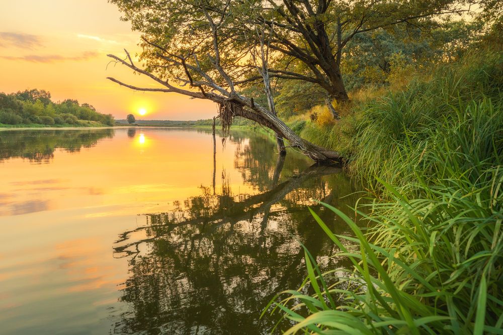 Photograph by Роман Филиповец