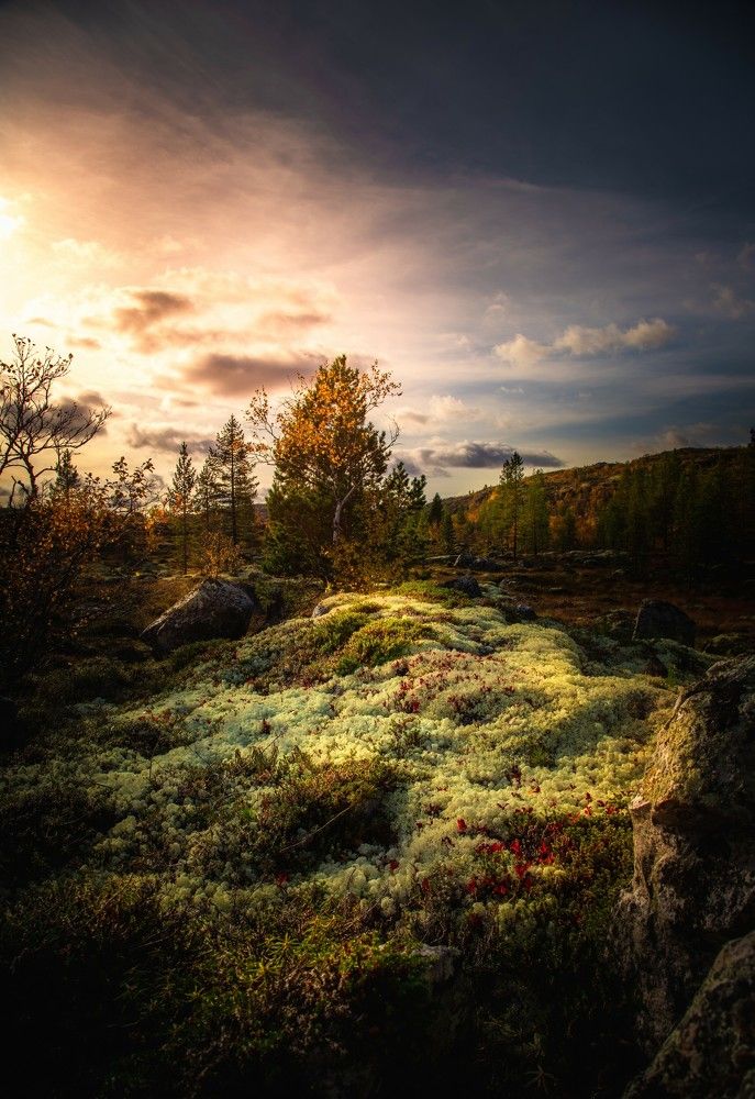 Photograph by Артемий Соловьёв