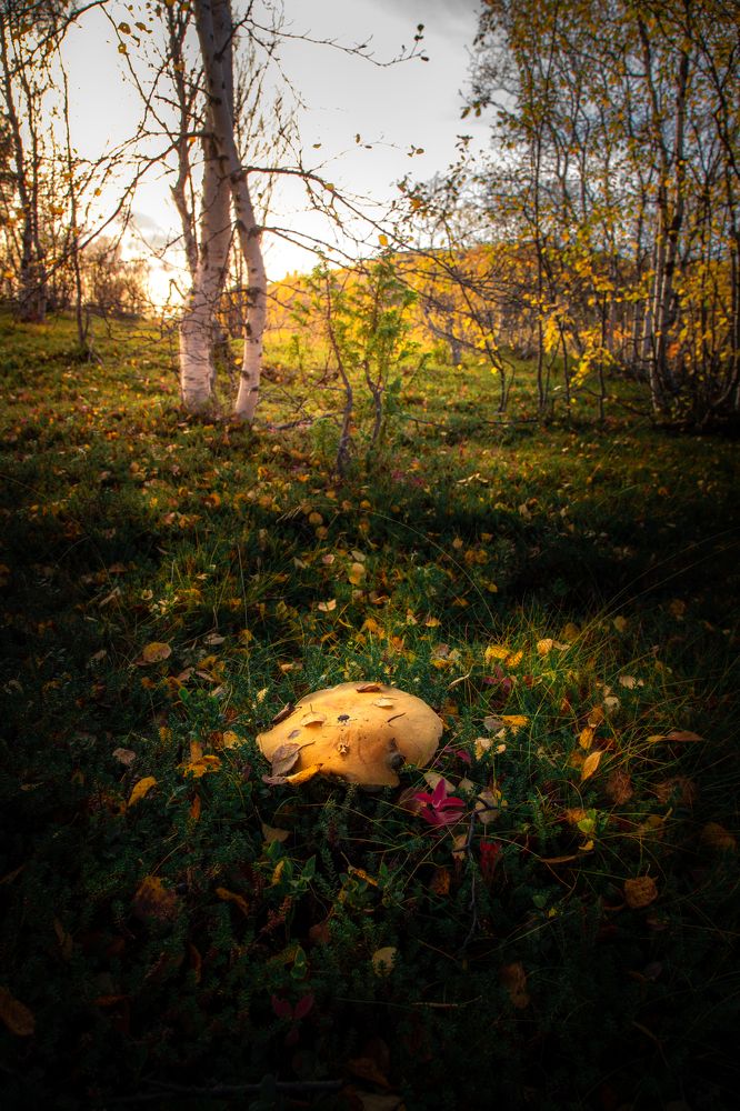 Photograph by Артемий Соловьёв