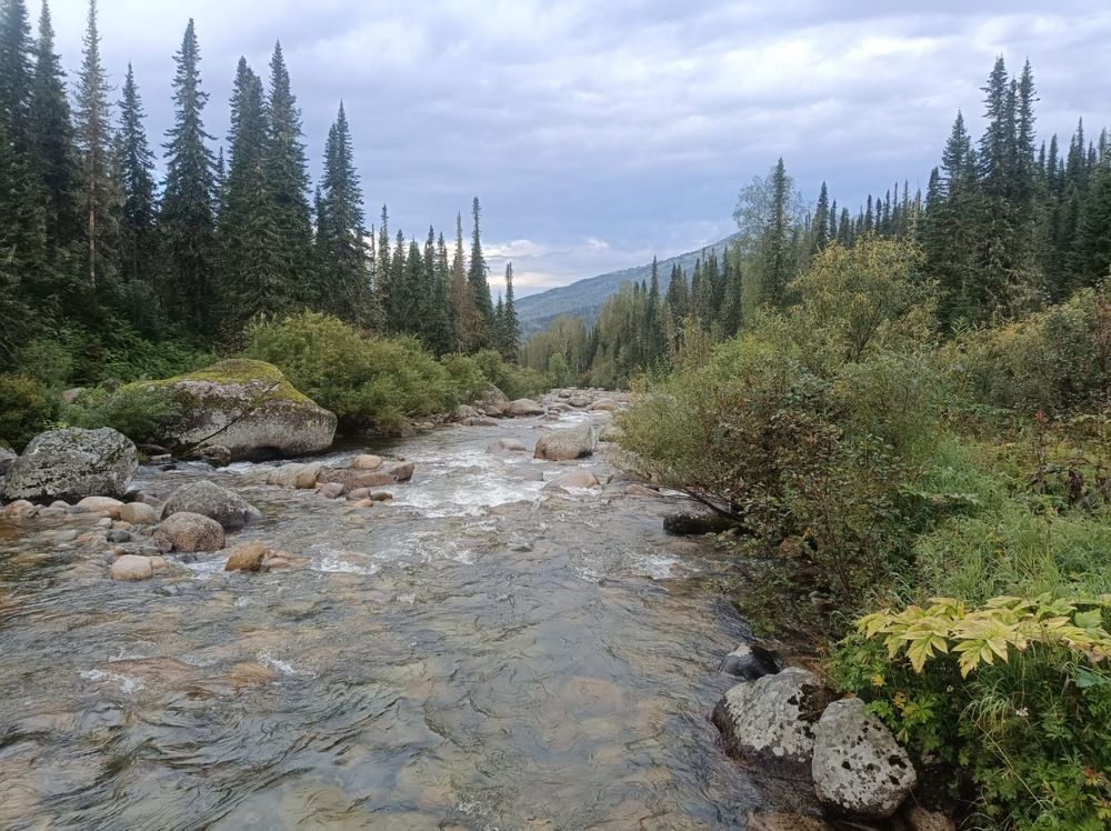 Photograph by Анатолий Майдуров