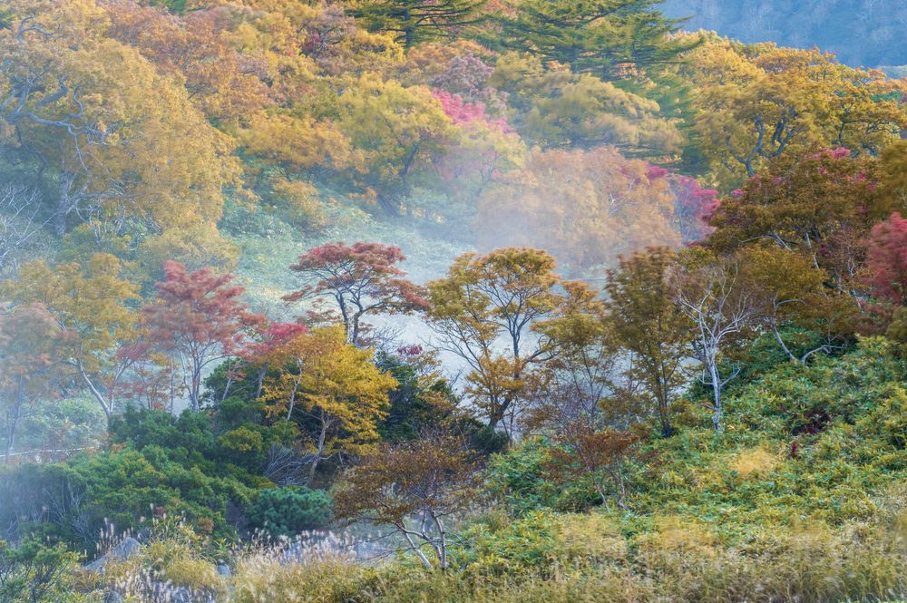 Photograph by Татьяна Решетникова