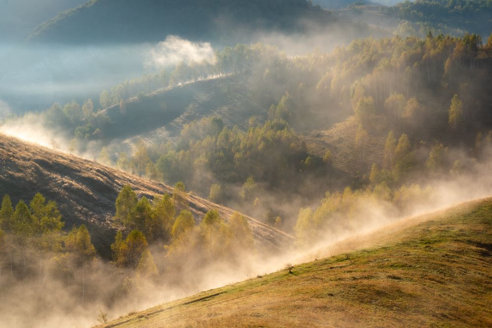 Photograph by Alin Bicas