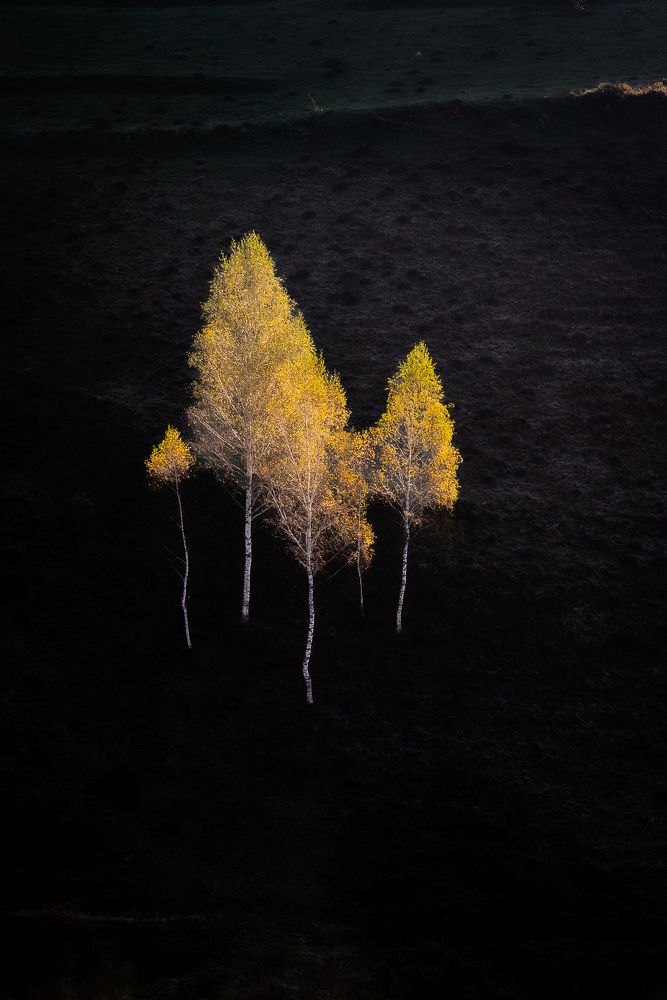 Photograph by Alin Bicas